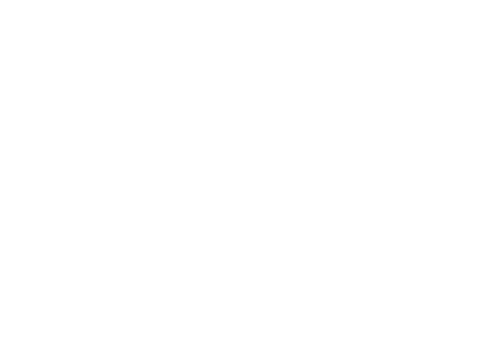 IDEE GESTION